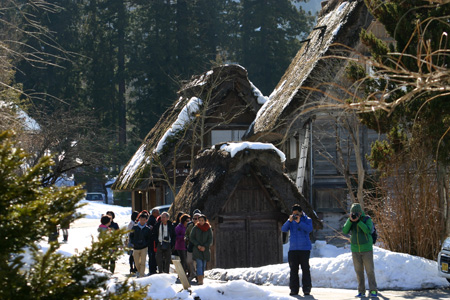 今年は、雪が少ないと言われ〜７