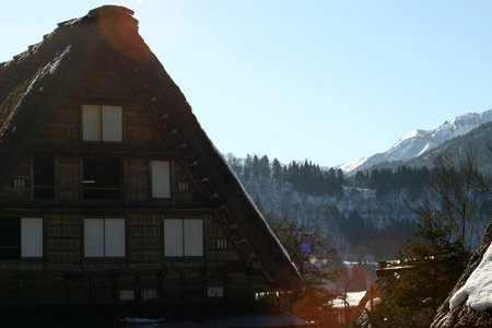 今年は、雪が少ないと言われ〜８