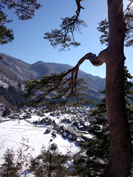 冬の景色、冬だから感じることができる５