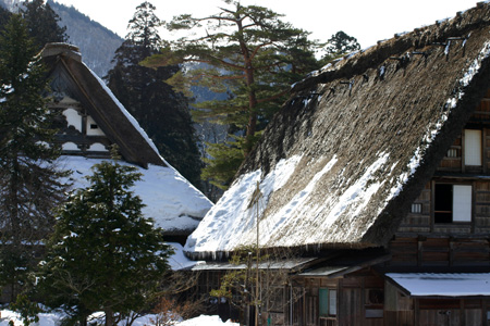 明日２月８日(土) 雪予報 １０