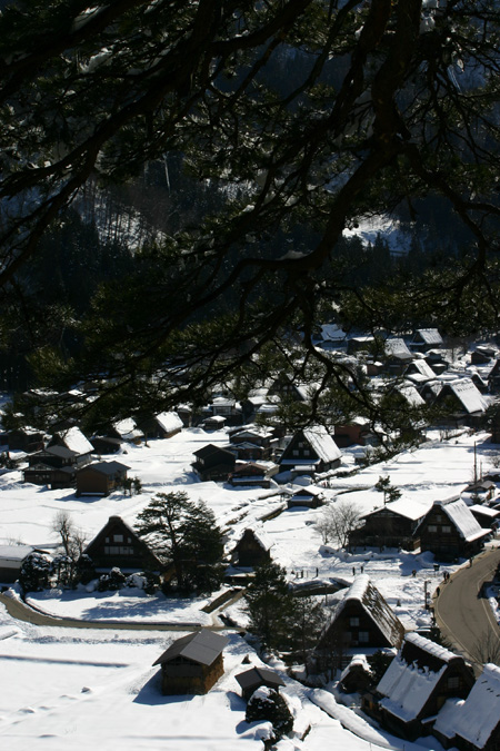 長く感じる冬の季節の中に感じる春の息吹2