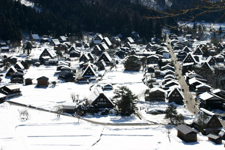 長く感じる冬の季節の中に感じる春の息吹3