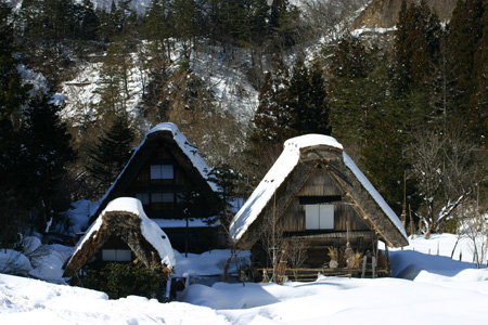 長く感じる冬の季節の中に感じる春の息吹4