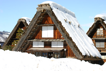 長く感じる冬の季節の中に感じる春の息吹6