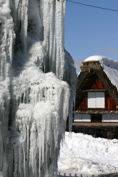 長く感じる冬の季節の中に感じる春の息吹8