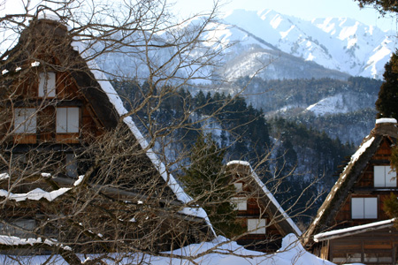 長く感じる冬の季節の中に感じる春10