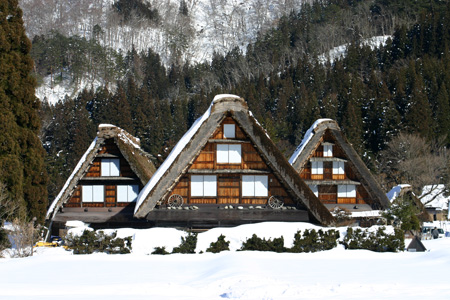 長く感じる冬の季節の中に感じる春12