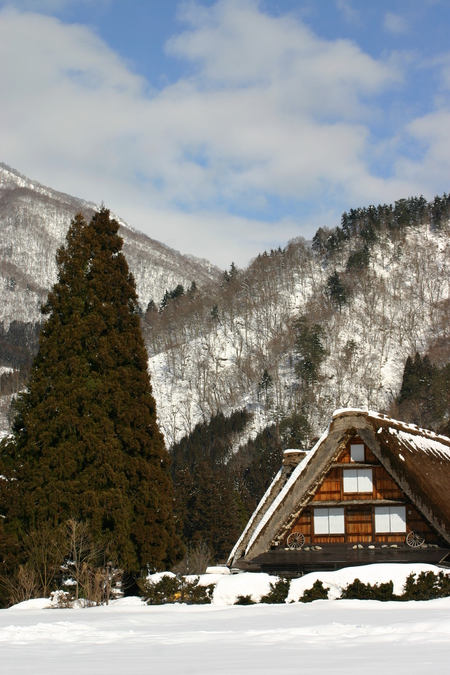 スキーやスノボーはちょと。。でも 1