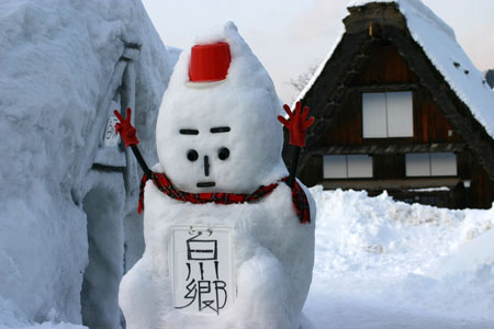 景色が素晴らしいと有名な 白川郷 3