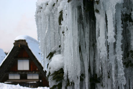景色が素晴らしいと有名な 白川郷 4