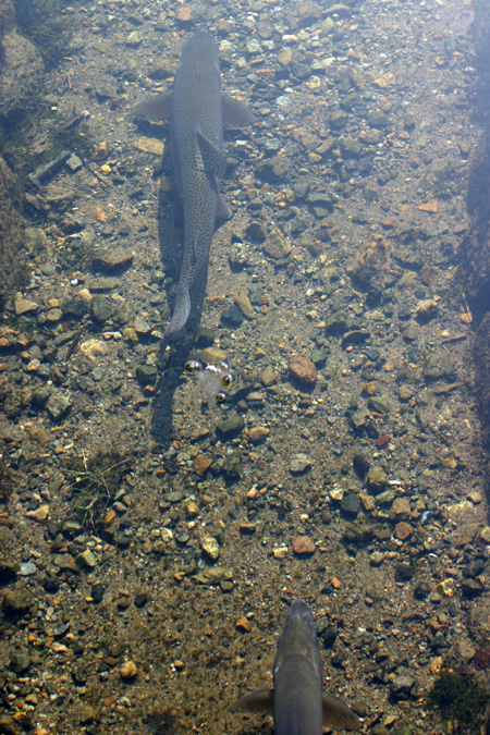 みなさまを癒しの旅へご案内〜世界遺産 ８
