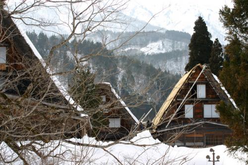 白川郷合掌集落 茅葺き屋根 葺き替え １