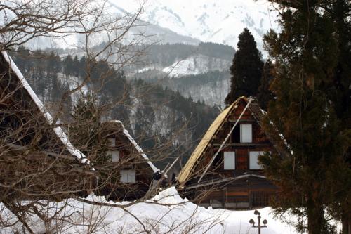 白川郷合掌集落 茅葺き屋根 葺き替え ３
