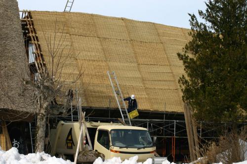 白川郷合掌集落 茅葺き屋根 葺き替え ４