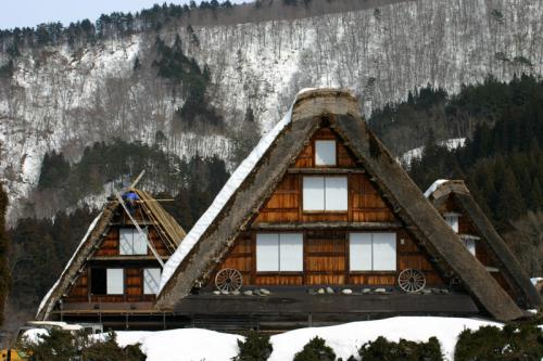 白川郷合掌集落 茅葺き屋根 葺き替え ７