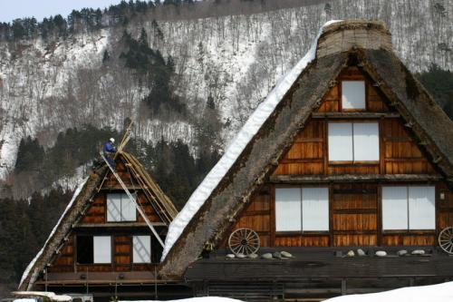 白川郷合掌集落 茅葺き屋根 葺き替え ９