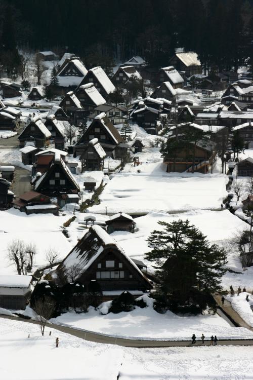 白川郷合掌集落 茅葺き屋根 葺き替え１２