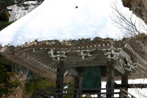 いよいよ、卒業！新たな人生のスタート９