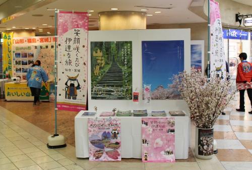 全景２（桜イメージ）