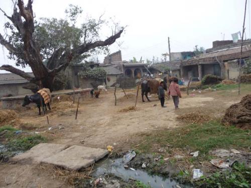 ジャナクプル点描11