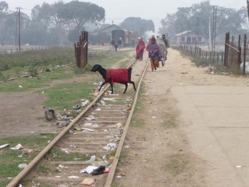 ジャナクプル点描12