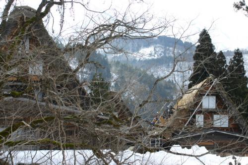 世界遺産 白川郷に来た時。。。9