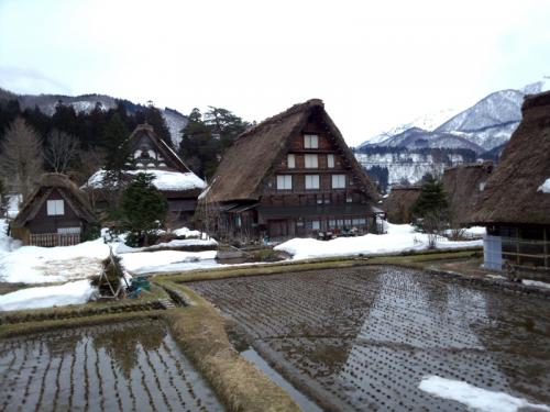 暖かくなり、春の気配が漂う今日この頃 1