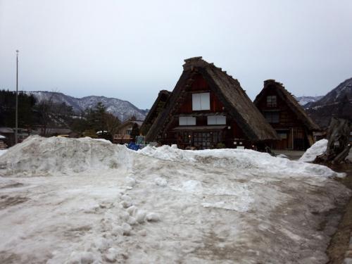 暖かくなり、春の気配が漂う今日この頃 ３