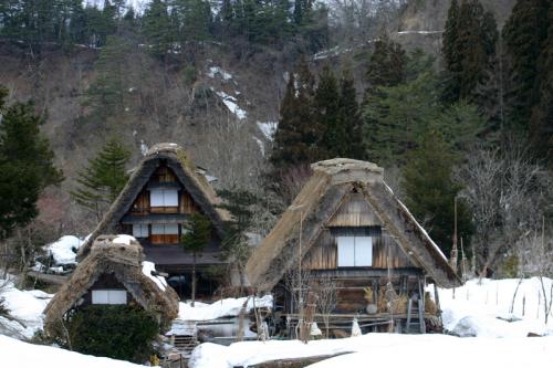 暖かくなり、春の気配が漂う今日この頃 ６