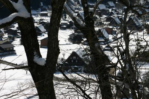 春休みの家族旅行も 6