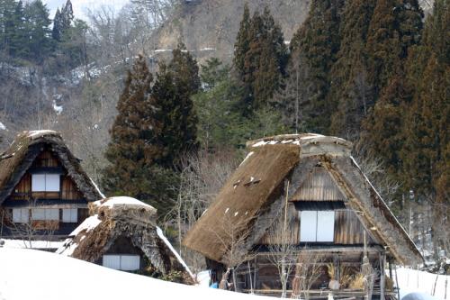 春休み・卒業旅行にもオススメ！５