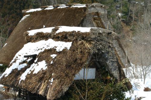 春休み・卒業旅行にもオススメ！６