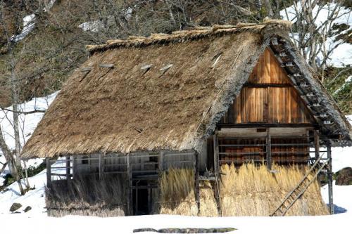 ３月の３連休 寒さが緩むこの季節 4