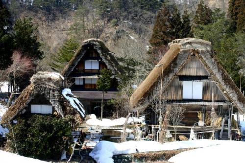 季節の入れ替わり春ですね! 3