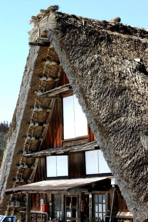 季節の入れ替わり春ですね! 7