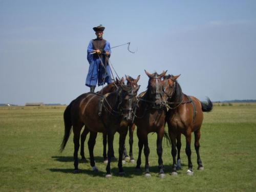 馬術ショー／ホルトバージ