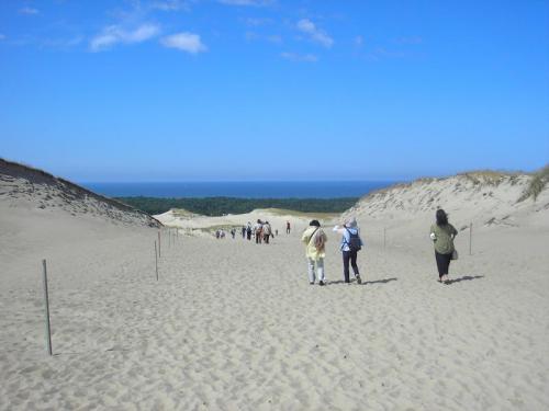 クルシュー砂州（リトアニア）