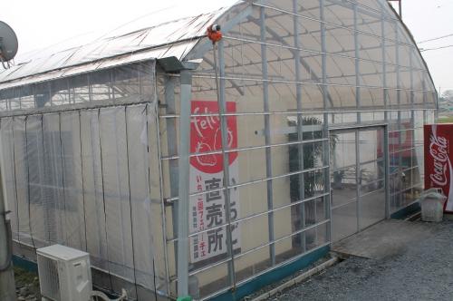 フェリーチェ外観