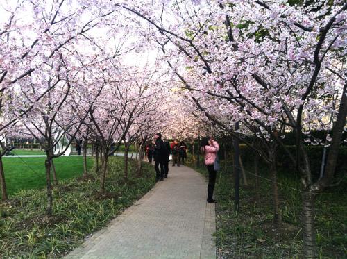 静安彫塑公園２