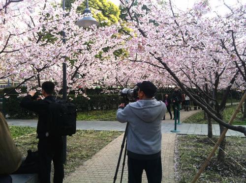 静安彫塑公園６