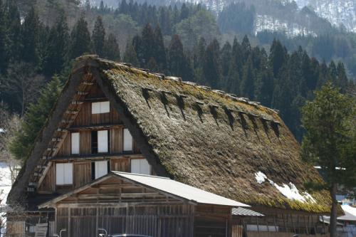 春の陽気にさそわれて、世界遺産 白川郷5