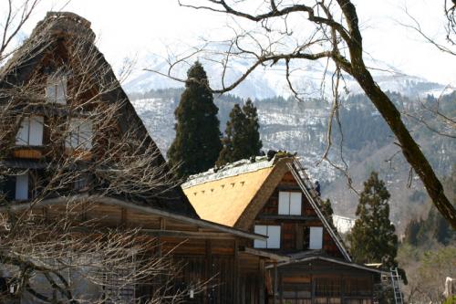 春だ！休みだ！世界遺産 白川郷 ！７
