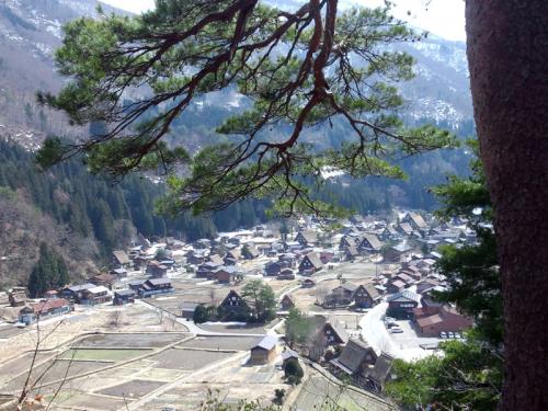 春の旅行シーズン突入♪ご家族揃って６