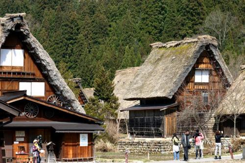 世界遺産 白川郷 〜桜開花情報〜 6