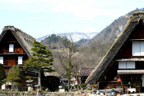 世界遺産 白川郷 〜桜開花情報〜 7