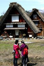 世界遺産 白川郷 〜桜開花情報〜 8