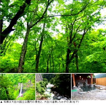 「平瀬温泉 大白川渓谷ウォーキング2