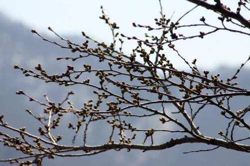 世界遺産 白川郷合掌集落〜天守閣展望台１