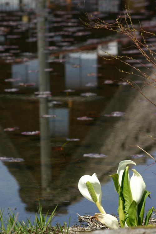 世界遺産 白川郷合掌集落〜天守閣展望台６