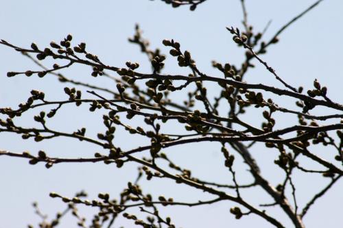 白川郷〜田舎の親戚に行く気分で 3